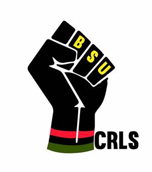 bsu logo